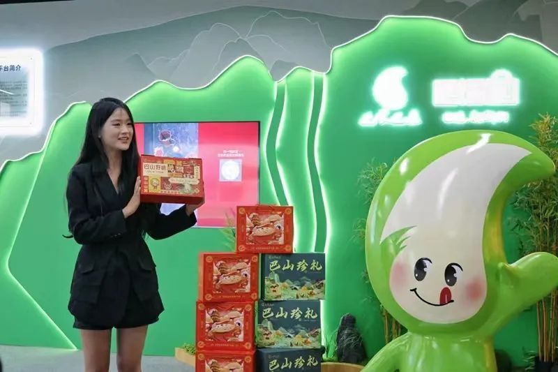 希特克瓦队势取逐强机，高居积分榜